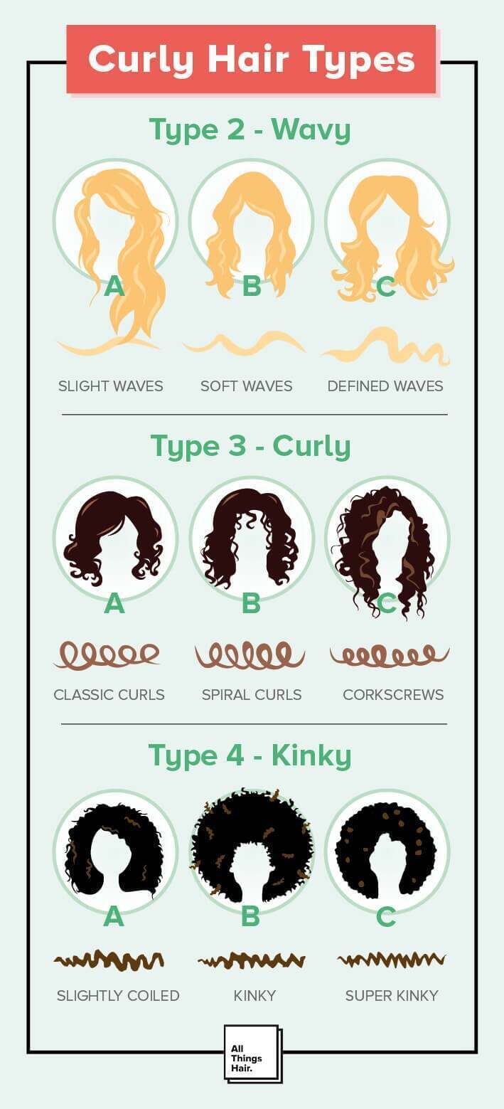 jenis rambut keriting infografis