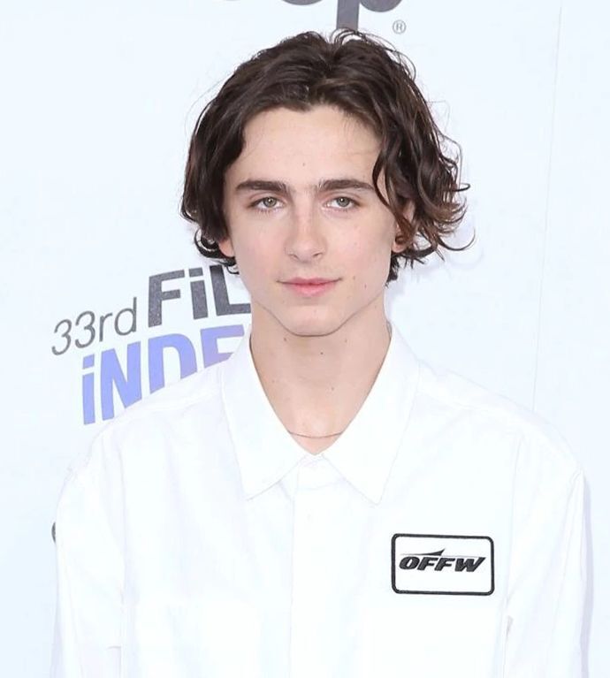 ทรงผมบ๊อบผู้ชาย (Credit: Rex by Shutterstock)