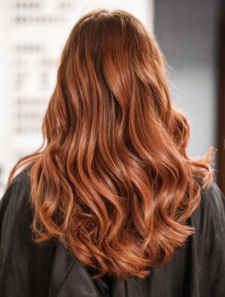 ผมยาว ด้านหลัง ผมสีน้ำตาลแดง