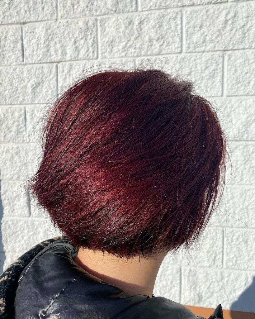 ผมสีไวน์แดงเฮนน่า