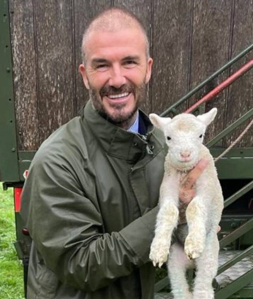 เดวิด เบ็คแฮมเทรนด์ผม โกนหัวเกรียน