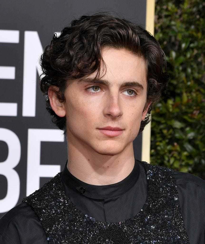 ทิโมธี ชาลาแมร์ (Timothée Chalamet) (Credit: Rex by Shutterstock)