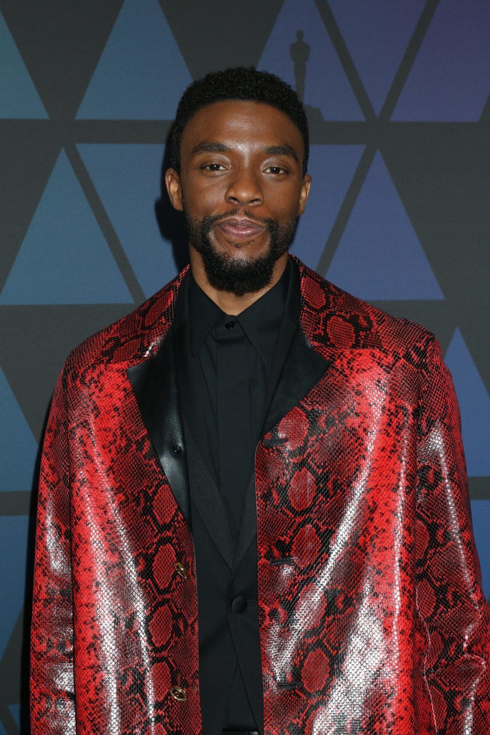 (Credit: Rex by Shutterstock)