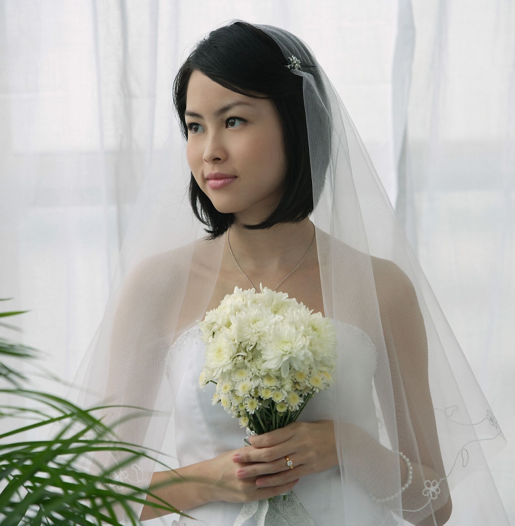 (Credit : Shutterstock)