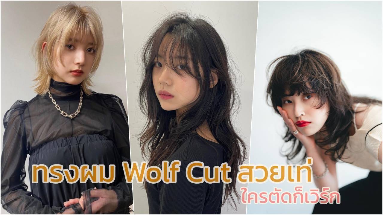 20 ไอเดีย ทรงผมวูฟคัท ผู้หญิง (Wolf Cut) 2023 ทรงผมฮอตฮิต ทั้งสวยเปรี้ยวก็ได้ เท่ก็ดี