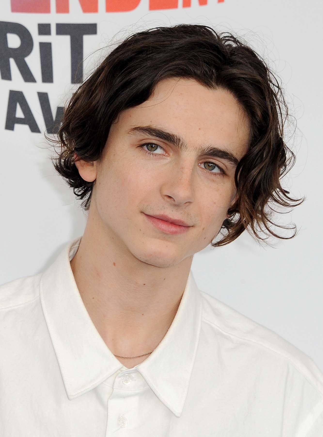 ทรงผมแสกกลางชาย Timothee Chalamet