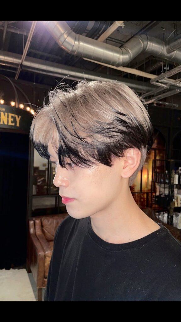 ผมทูบล็อคแสกกลางทำสีดิ๊พดาย