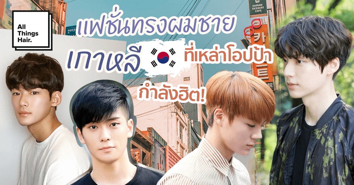 15 สไตล์ ทรงผมชายเกาหลี 2023 ที่หนุ่มไทยตัดตามได้ กับ 90 ไอเดีย ทรงผมหล่อๆ ตามแบบโอปป้า