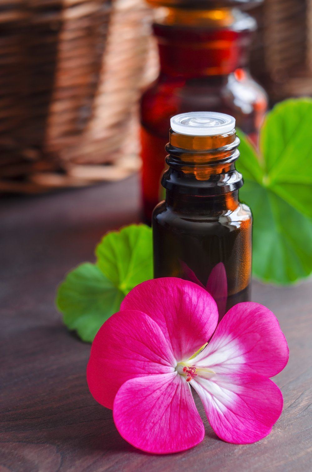 เจอราเนียม ออยล์