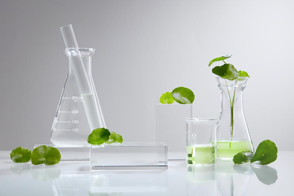 หลอดทดลอง และเหยือกแก้ว ใส่ตัวอย่างสารสกัดจากใบบัวบก