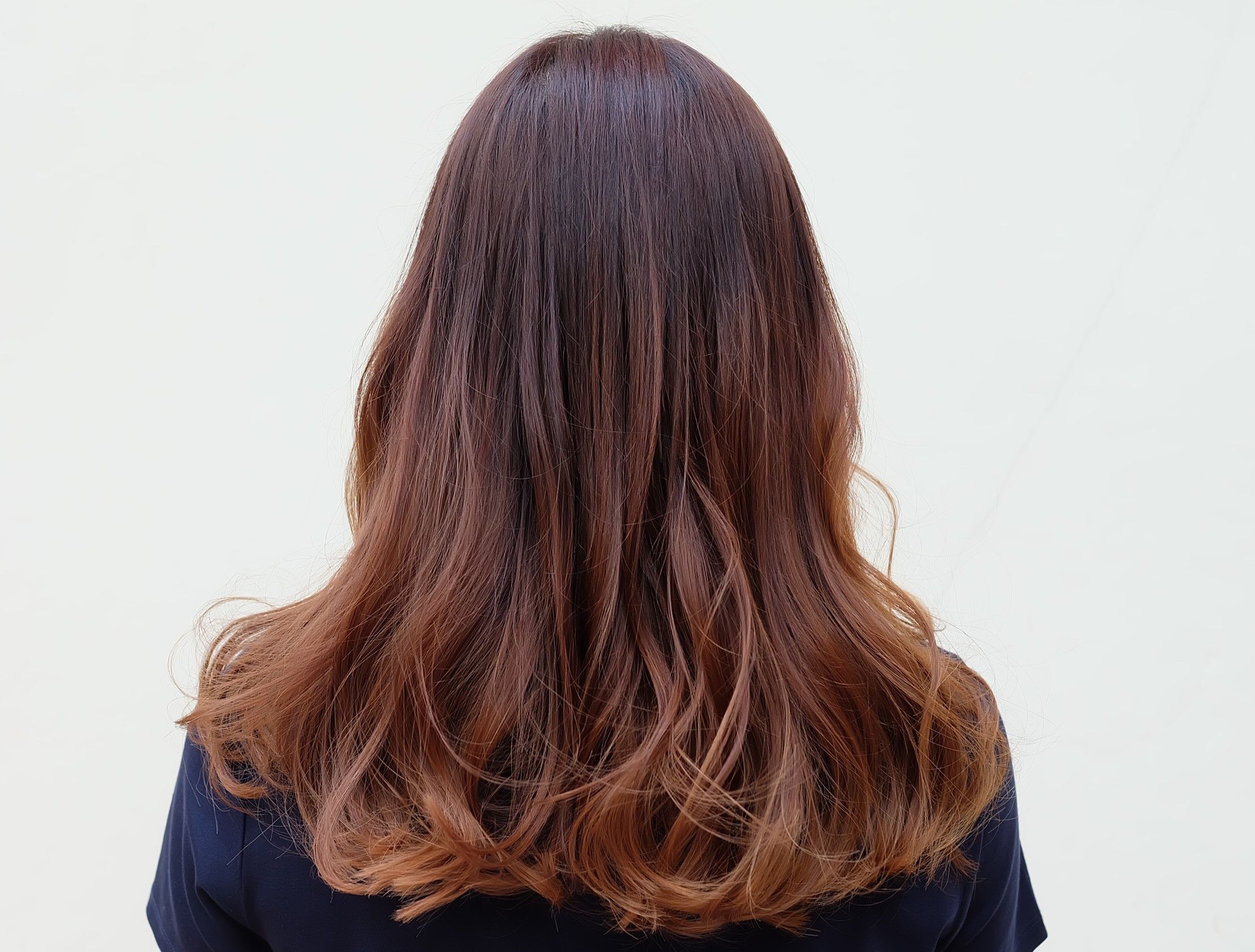 Credit: Shutter Stock