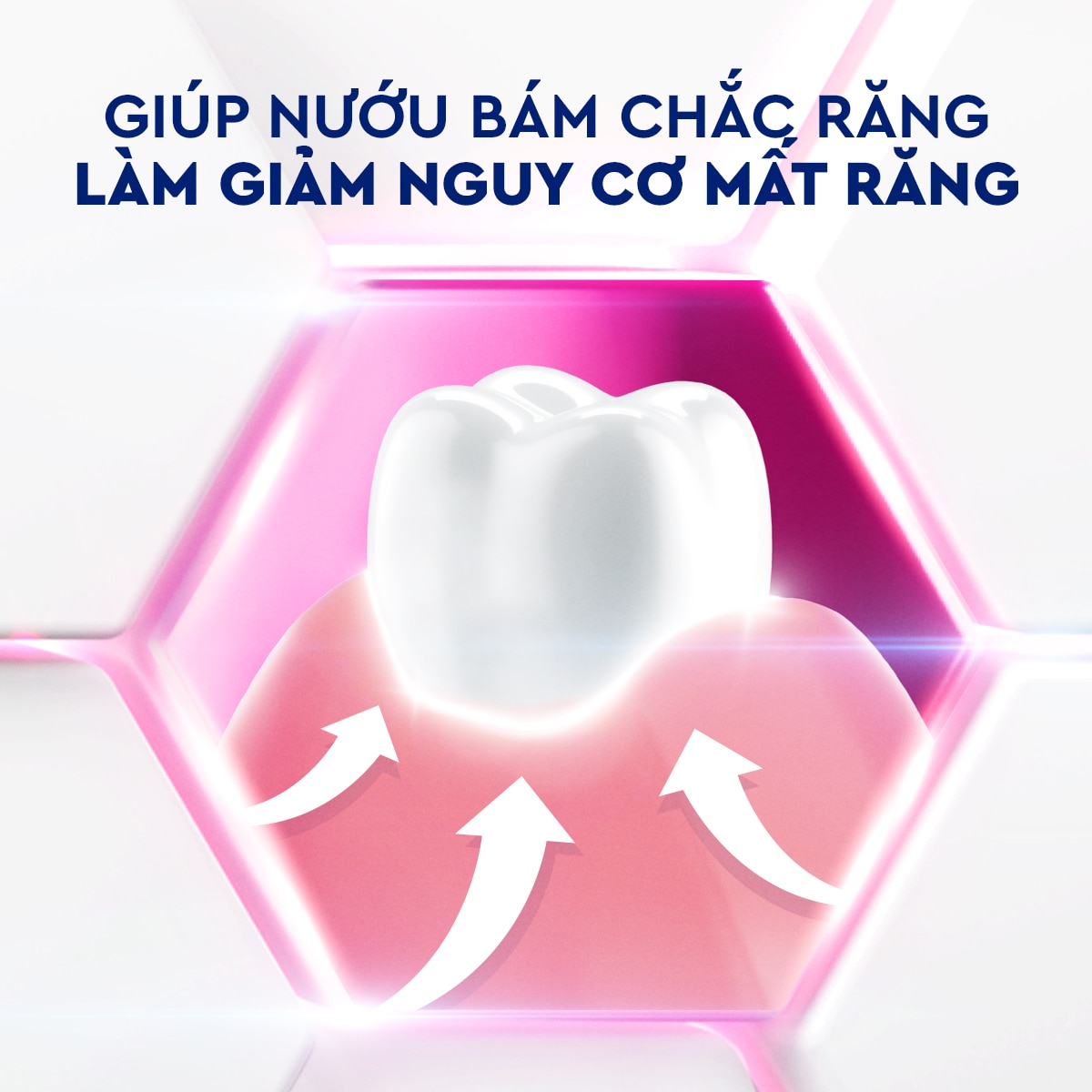 P/S Chuyên gia Chăm sóc nướu Trắng răng