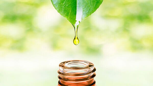 2. Home Remedies