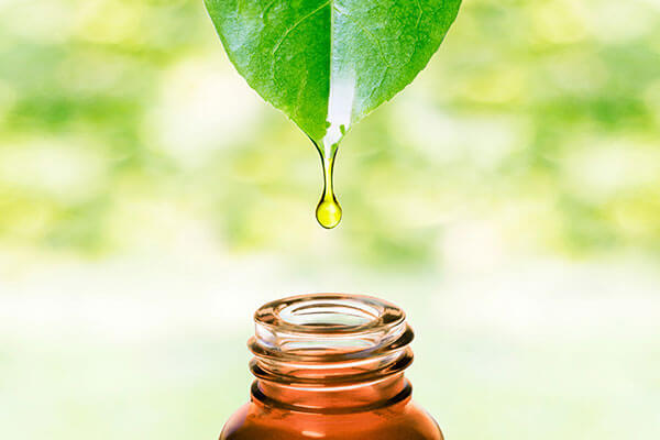2. Home Remedies