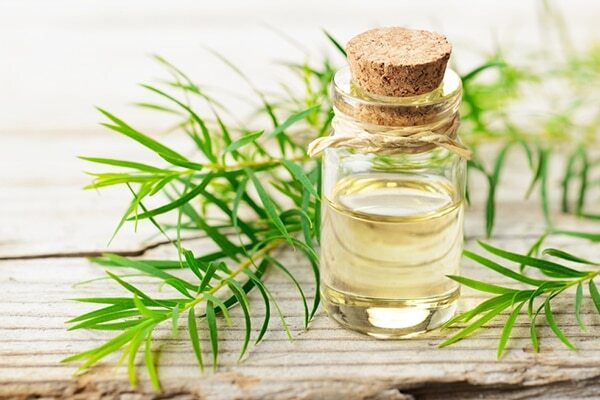 Aloe gel