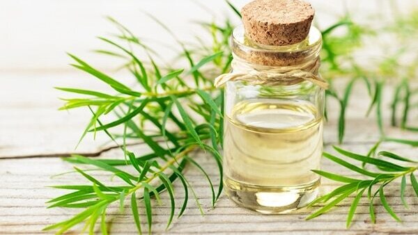 Aloe gel