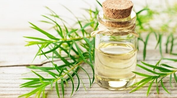Aloe gel