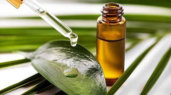 Miraculous Tea Tree Oil Uses For Skin And Hair