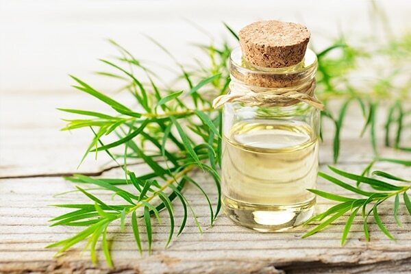 FAQs about tea tree oil uses for skin and hair