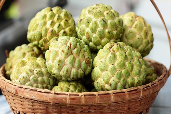 Frequently asked questions about custard apple benefits