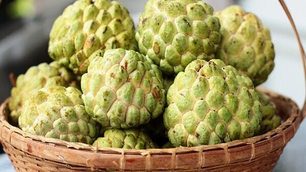 Frequently asked questions about custard apple benefits