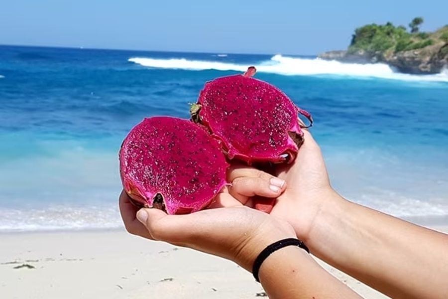 FAQs About Dragon Fruit Skincare