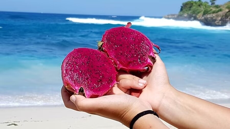 FAQs About Dragon Fruit Skincare