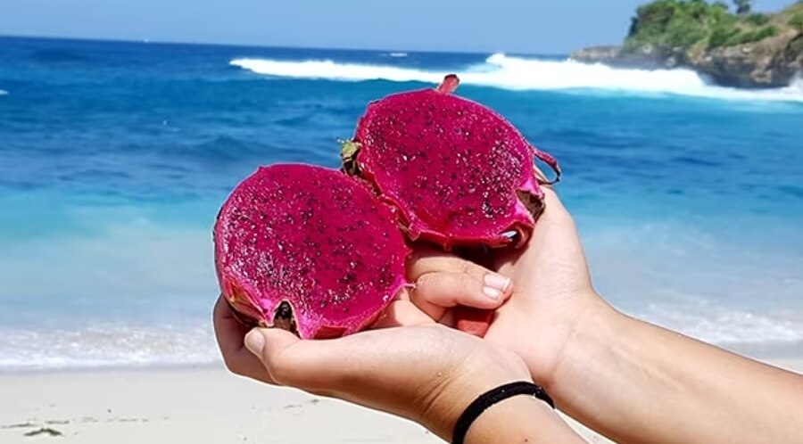 FAQs About Dragon Fruit Skincare