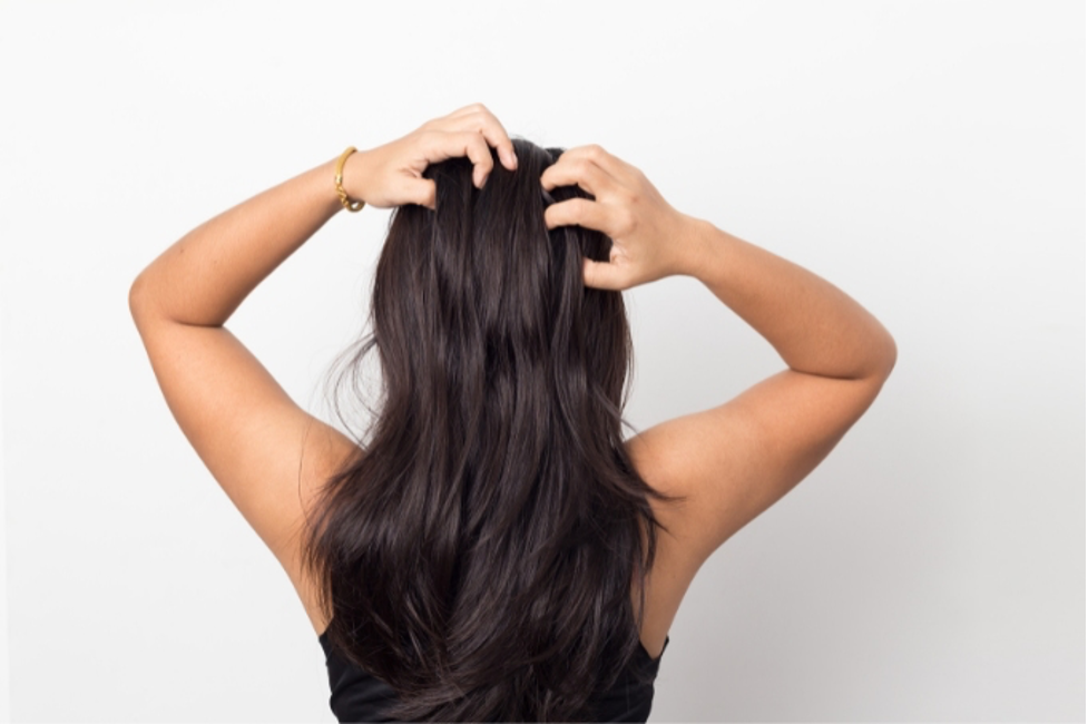 Hair Spa Products and Ingredients