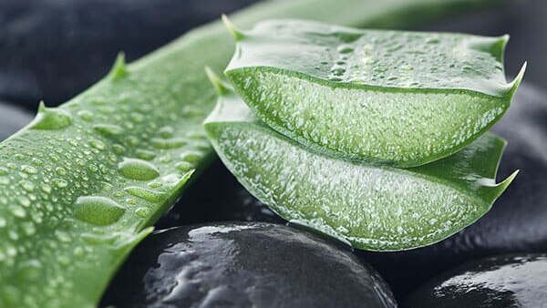 Milk for dry skin on the body