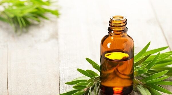 Tea tree oil