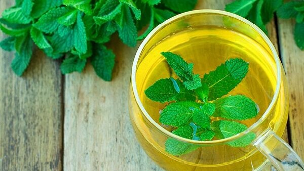 Spearmint tea