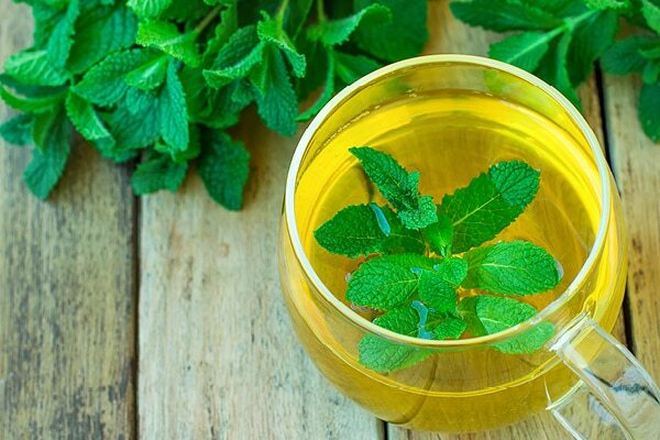 Spearmint tea