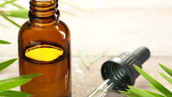 Cinnamon and honey for pimple free skin
