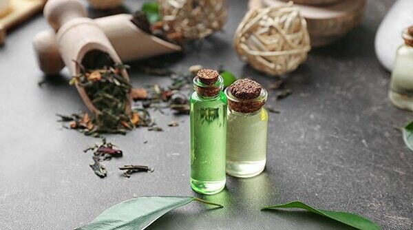 Wondering If You Should Use Tea Tree Oil For Acne? Yes And Here Is Why