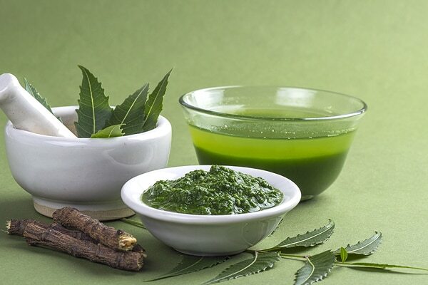Neem – A Natural Antibacterial Remedy for Itchy Skin