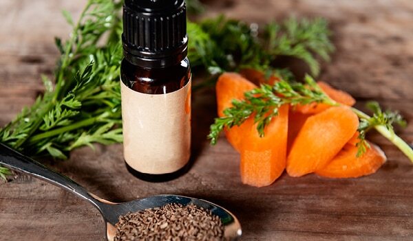 Why Carrot Seed Oil Deserves A Place In Your Skin Care Routine