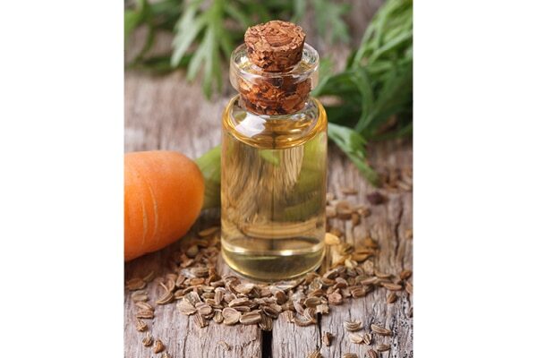 Are There Any Risks Associated with Using Carrot Seed Oil For Skin?