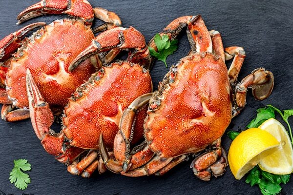 FAQs about zinc-rich foods