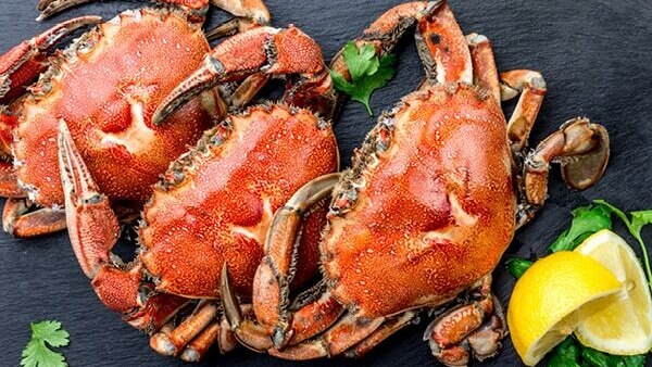 FAQs about zinc-rich foods
