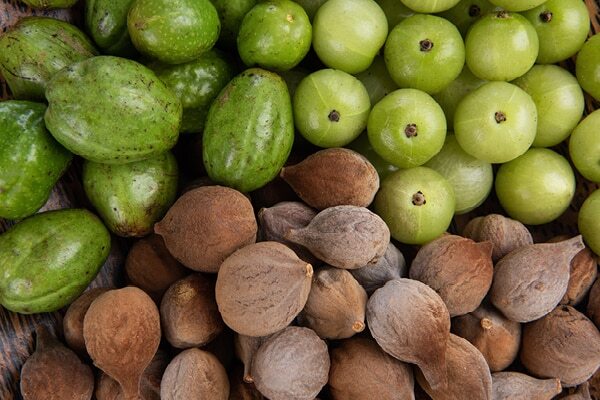 FAQs on triphala benefits