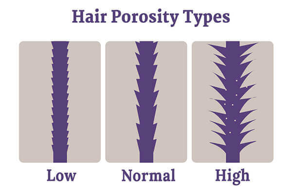 How can you test your hair’s porosity?