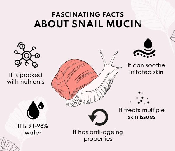 FAQs about snail facials: