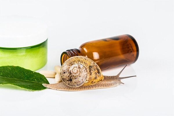 FAQs about snail facials: