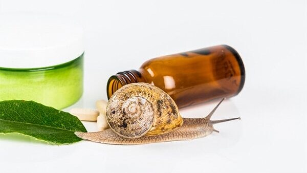 FAQs about snail facials: