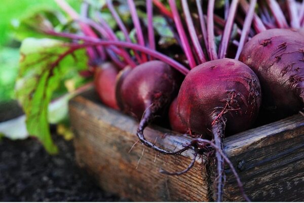 FAQs on beetroot for the face