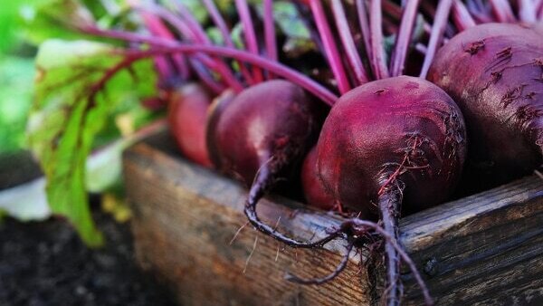 FAQs on beetroot for the face