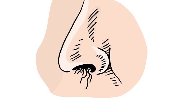 03. Hair Removal Cream