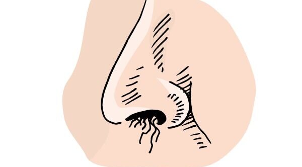 03. Hair Removal Cream