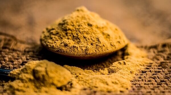 Sandalwood and sandalwood oil